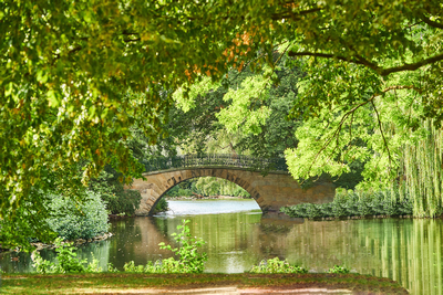 Hannover ist grün